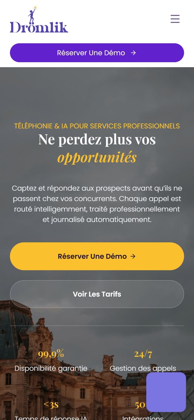 Dromlik France website on a mobile phone